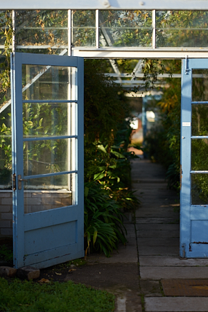 blue door into overgrown glasshouse