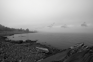 rolling fog over halifax working harbour, from point pleasant park