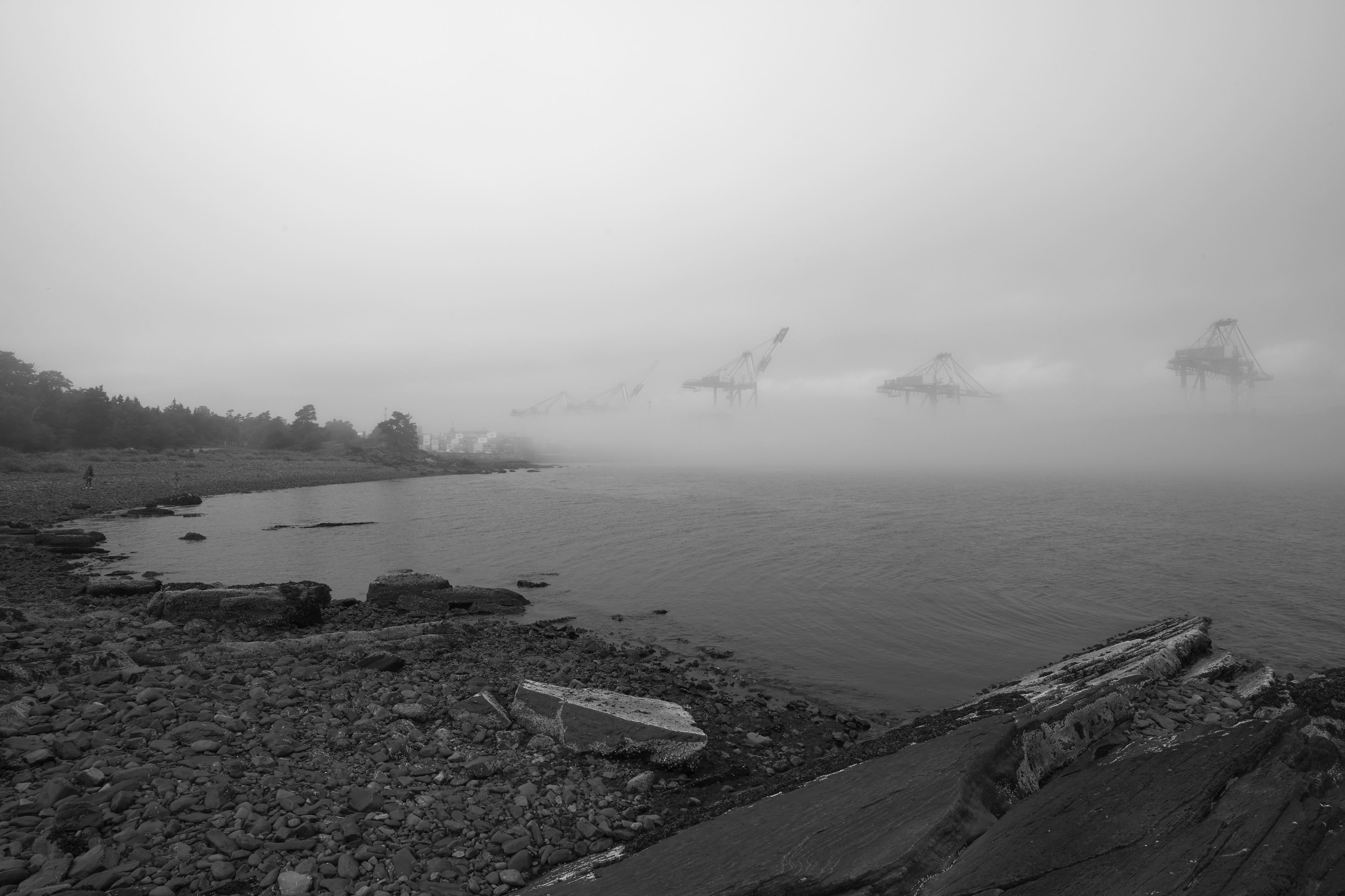 rolling fog over halifax working harbour, from point pleasant park