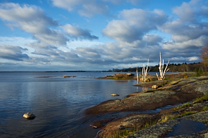 view of georgian bay from beausileil island in the morning